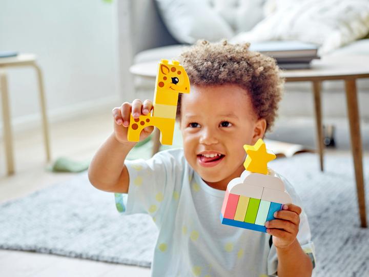 Produktbild LEGO Kreativer Bauspass (10978)