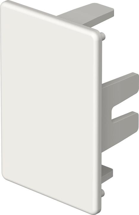 Image du produit OBO Bettermann Embout rws