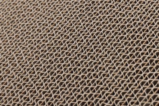 Actual product image Beeztees scratching board (25 cm, Blue)