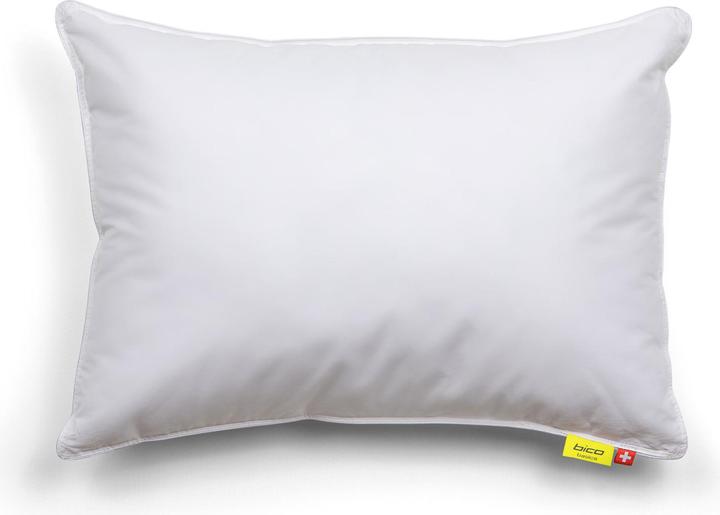 Immagine prodotto bico Primaloft Bio (50 x 70 cm)