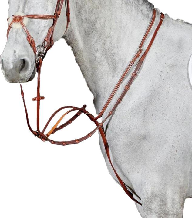 Image du produit - Martingale pour chevaux VALENCIA LUXURY