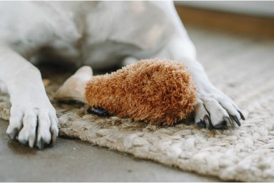 Productafbeelding P.L.A.Y. Gebakken kip (Pluche speelgoed hond)