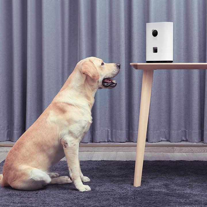 Actual product image Xiaomi Pet Treat Cam