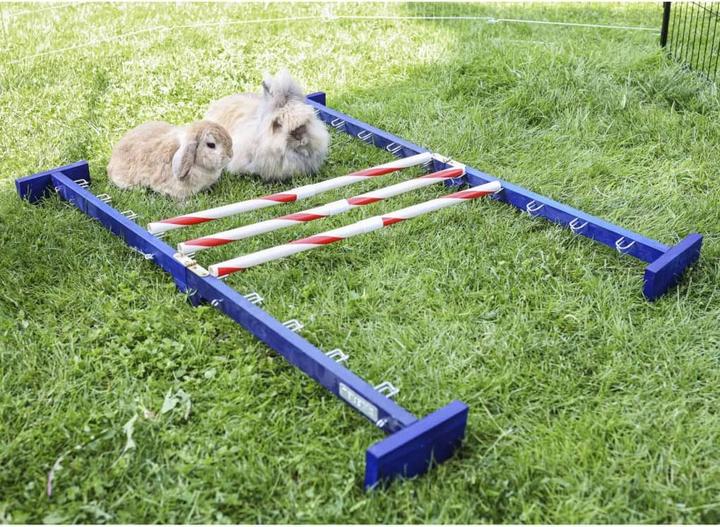 Actual product image Kerbl Combi jump (Agility)