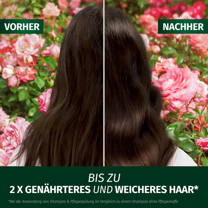 Produktbild Herbal Essences Essences All In 1 (145 ml)