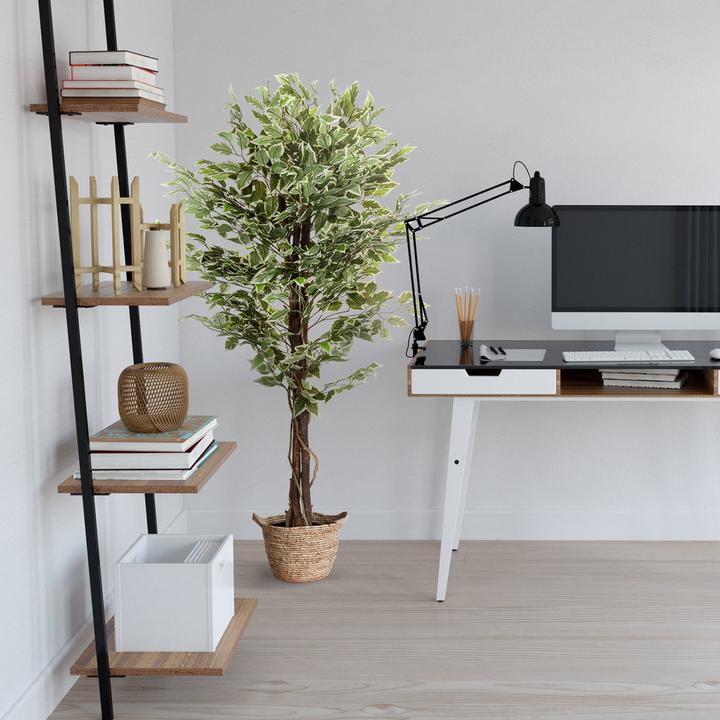 Actual product image Hjh Office Ficus (165 cm)