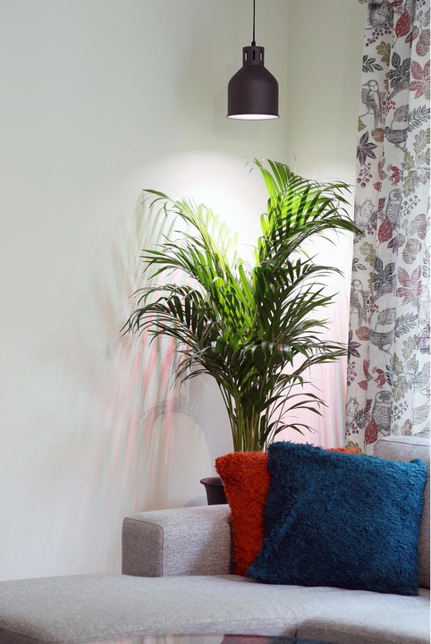 Image du produit Venso Saga (LED, 230 V)