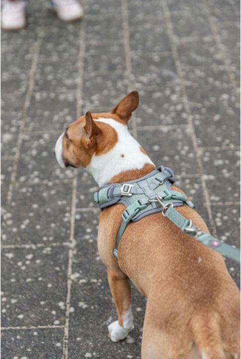 Image du produit Trixie Premium FlexMesh harness, wide fit,L:63–92cm/25mm,sage (L, Chien)