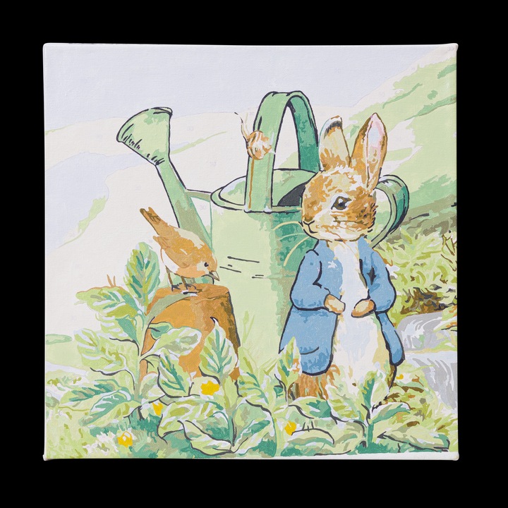 Actual product image Craft Buddy Painting by numbers picture set 30x30cm Peter Rabbit and Robin