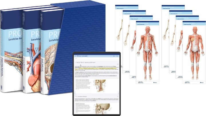 Actual product image PROMETHEUS LernPaket Anatomie (German, Michael Schünke, Erik Schulte, Udo Schumacher, 2022)