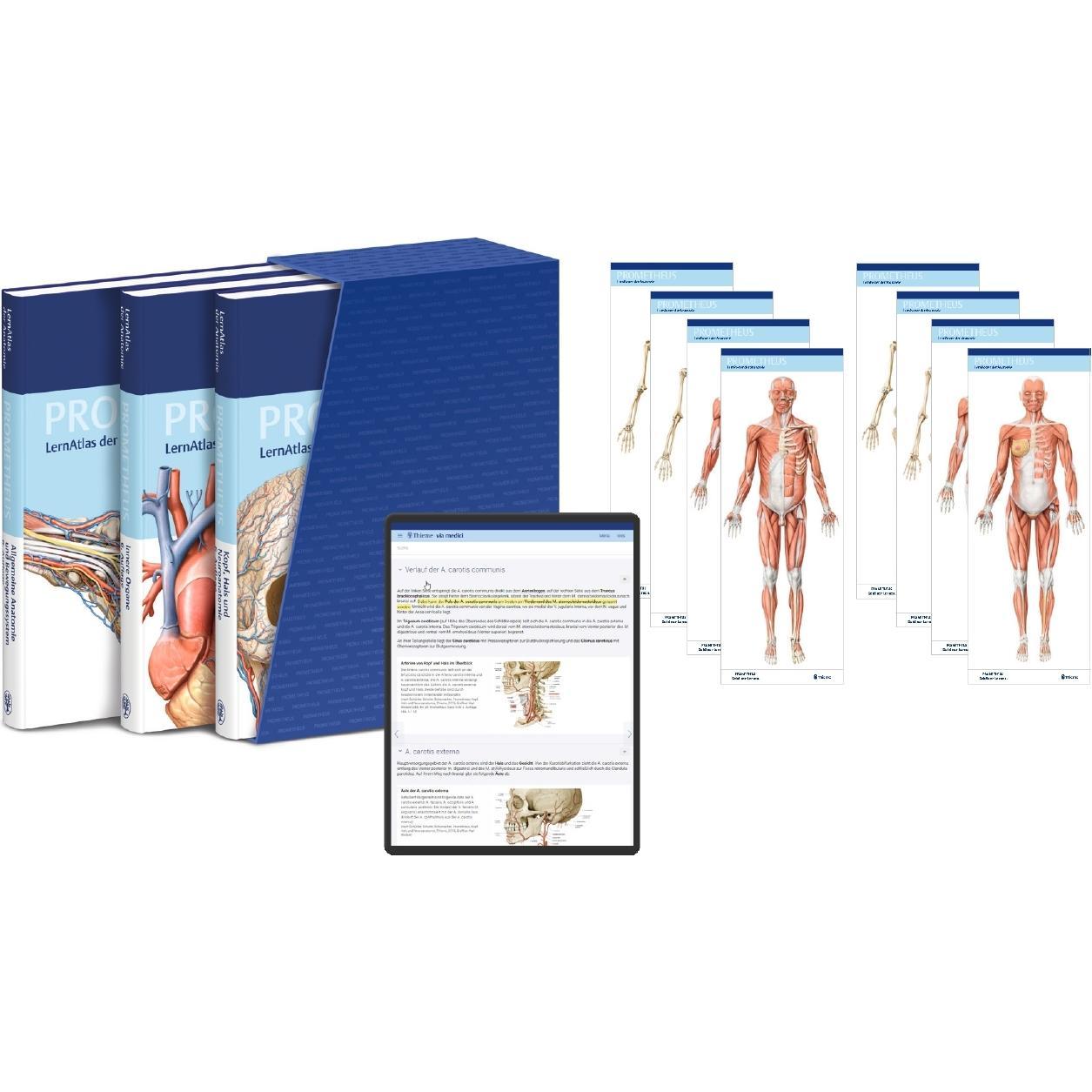 PROMETHEUS LernPaket Anatomie, Fachbücher von Michael Schünke, Erik Schulte, Udo Schumacher