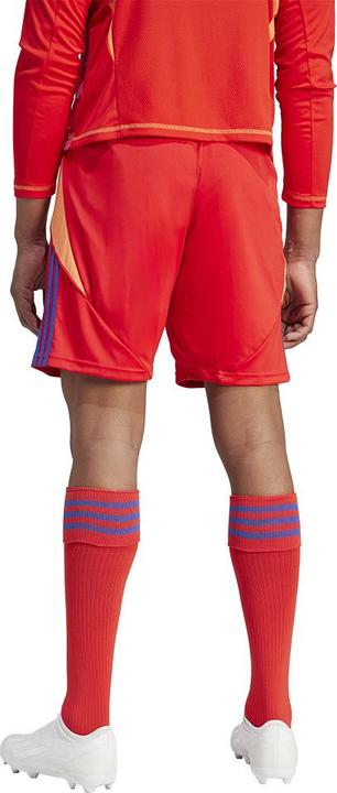 Produktbild adidas TIRO24 SHORT (XS)