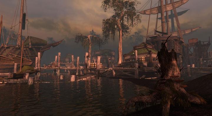 Actual product image Bethesda The Elder Scrolls Online - Tamriel Unlimited (PS4)