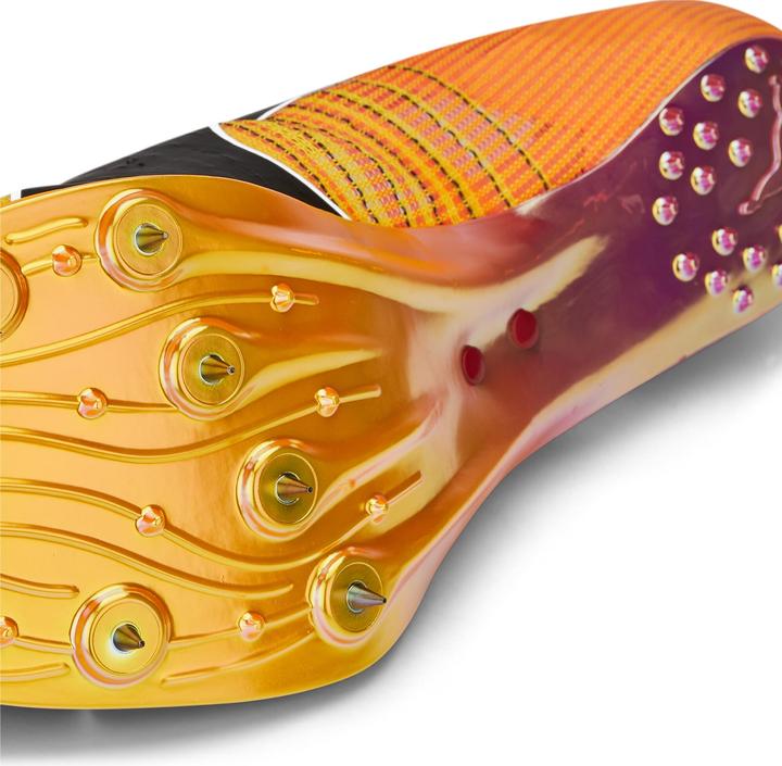 Actual product image Puma evoSPEED Tokyo Nitro (42)