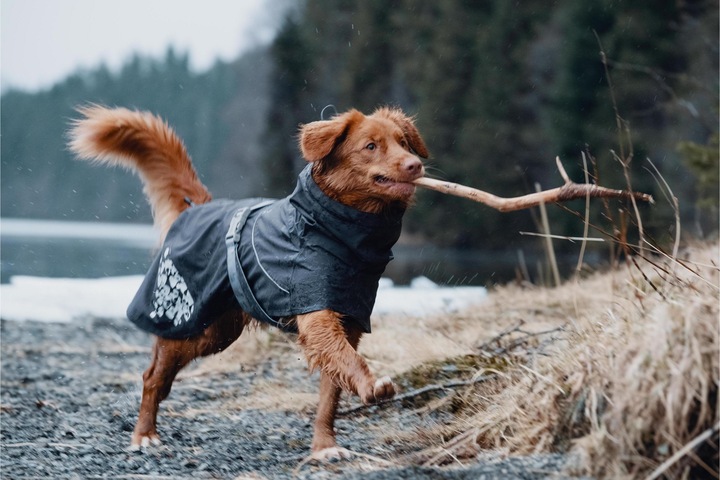 Produktbild Hurtta Monsoon (70, L, Hundemantel)