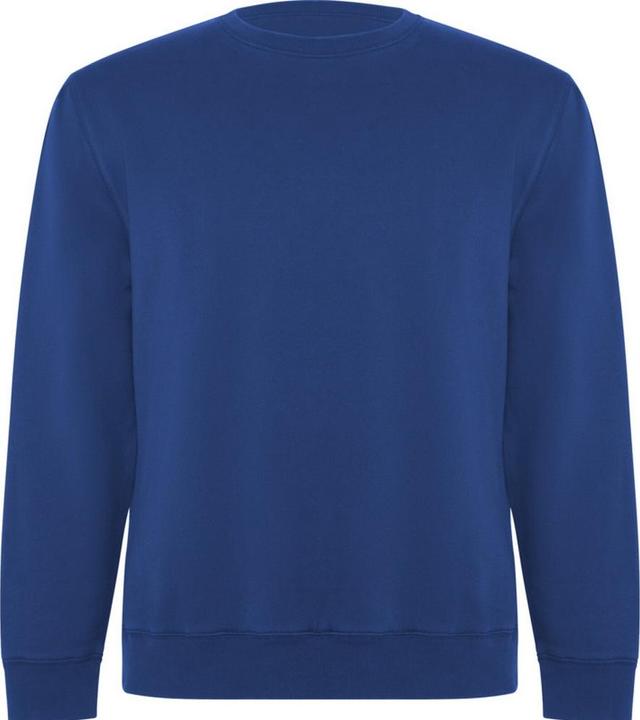 Produktbild Alpinia Batian Sweatshirt Rundhalsausschnitt (L)