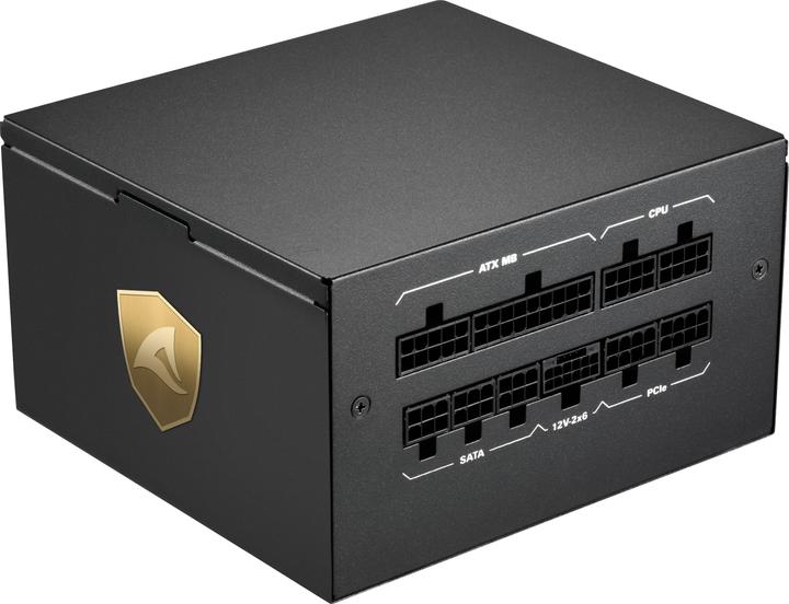 Immagine prodotto Sharkoon Rebel P20 850 (zero watt) (850 W)