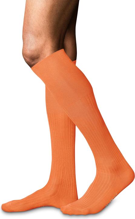 Immagine prodotto Falke No. 10 KH (39 - 40)