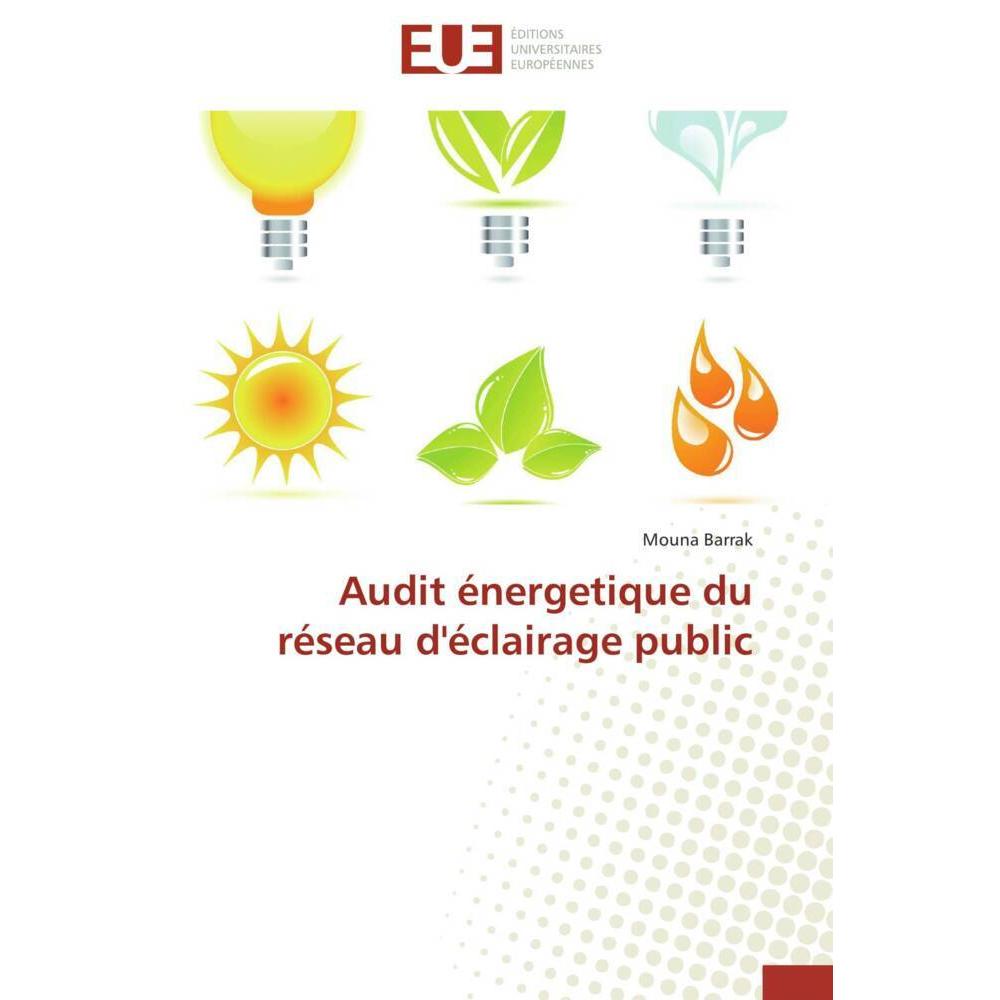 Audit énergetique du réseau d'éclairage public, Fachbücher