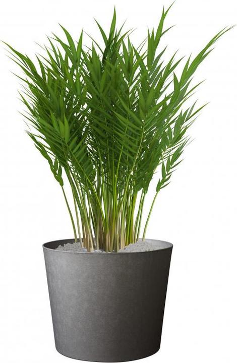 Image du produit Poétic Pot à plantes 'Element (25 x 24 cm)