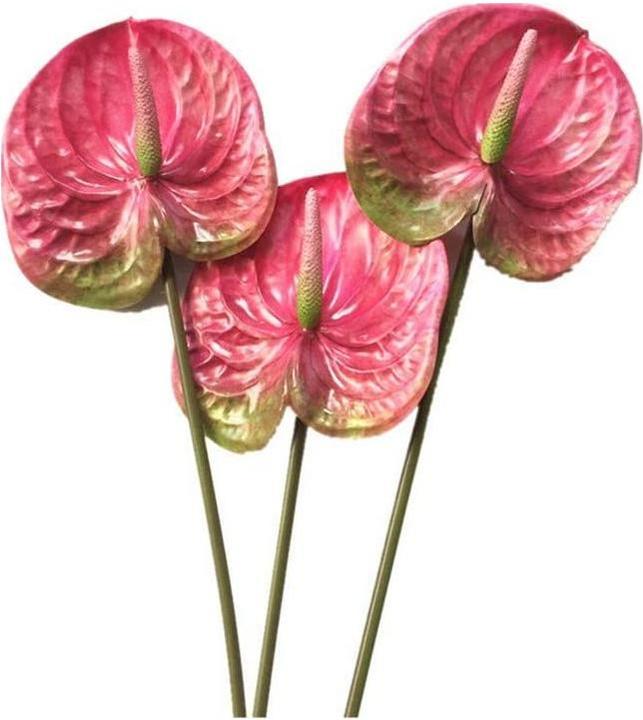 Image du produit RhinoShield Coque Solidx Magsafe Pour Apple Iphone 17 Air - Bleu Glacier - (Tm) (Apple iPhone Air)