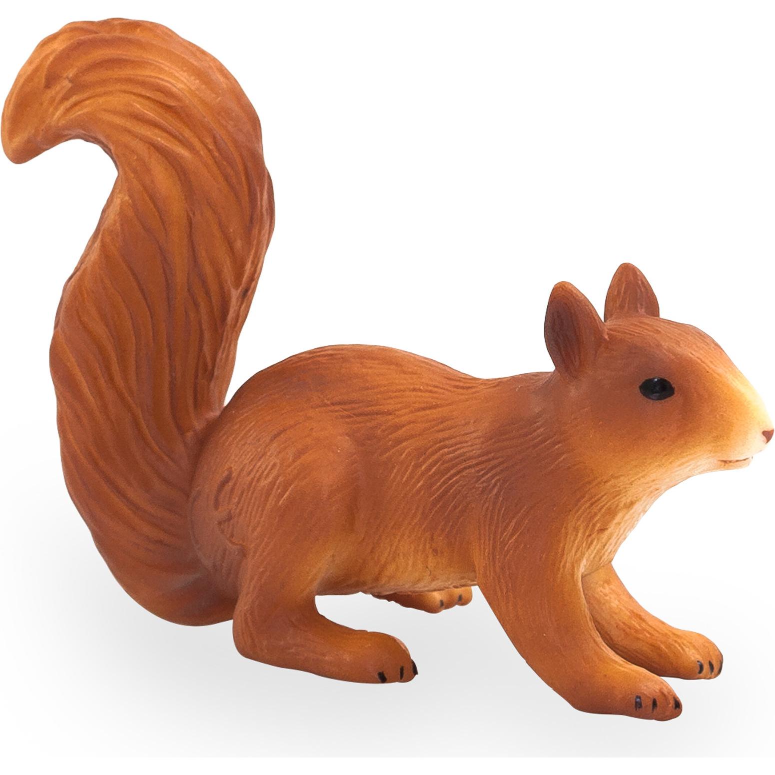 Animal Planet Eichhörnchen