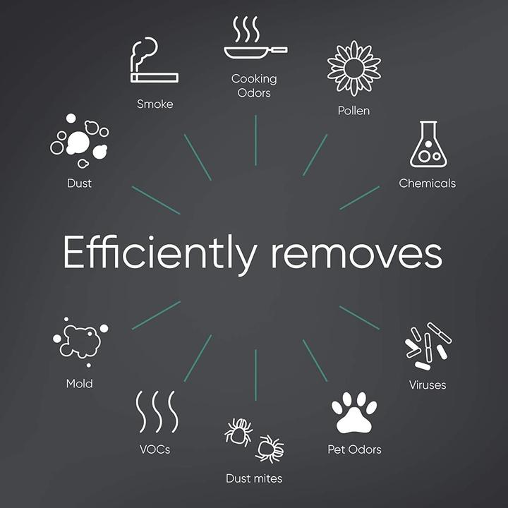 Produktbild Blueair Ersatzfilter für HealthProtect 7300 (1x)