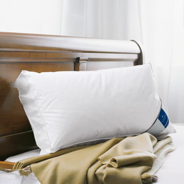 Produktbild Billerbeck Exclusiv Daunalex (40 x 80 cm)