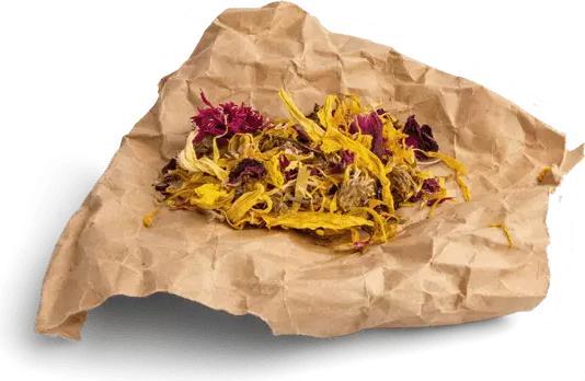 Immagine prodotto Bunny tutta la natura Botanica Mix Margherite (0.12 kg, 1 x)