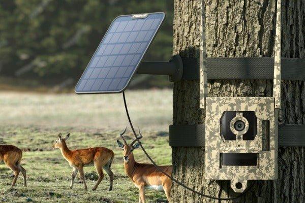 Actual product image Reolink Webcam Camovue Talon S130 4G LTE Trail Camera (8 Mpx)