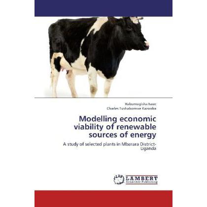 Modelling economic viability of renewable sources of energy, Fachbücher