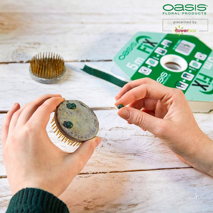 Image du produit Oasis Fix Masse adhésive