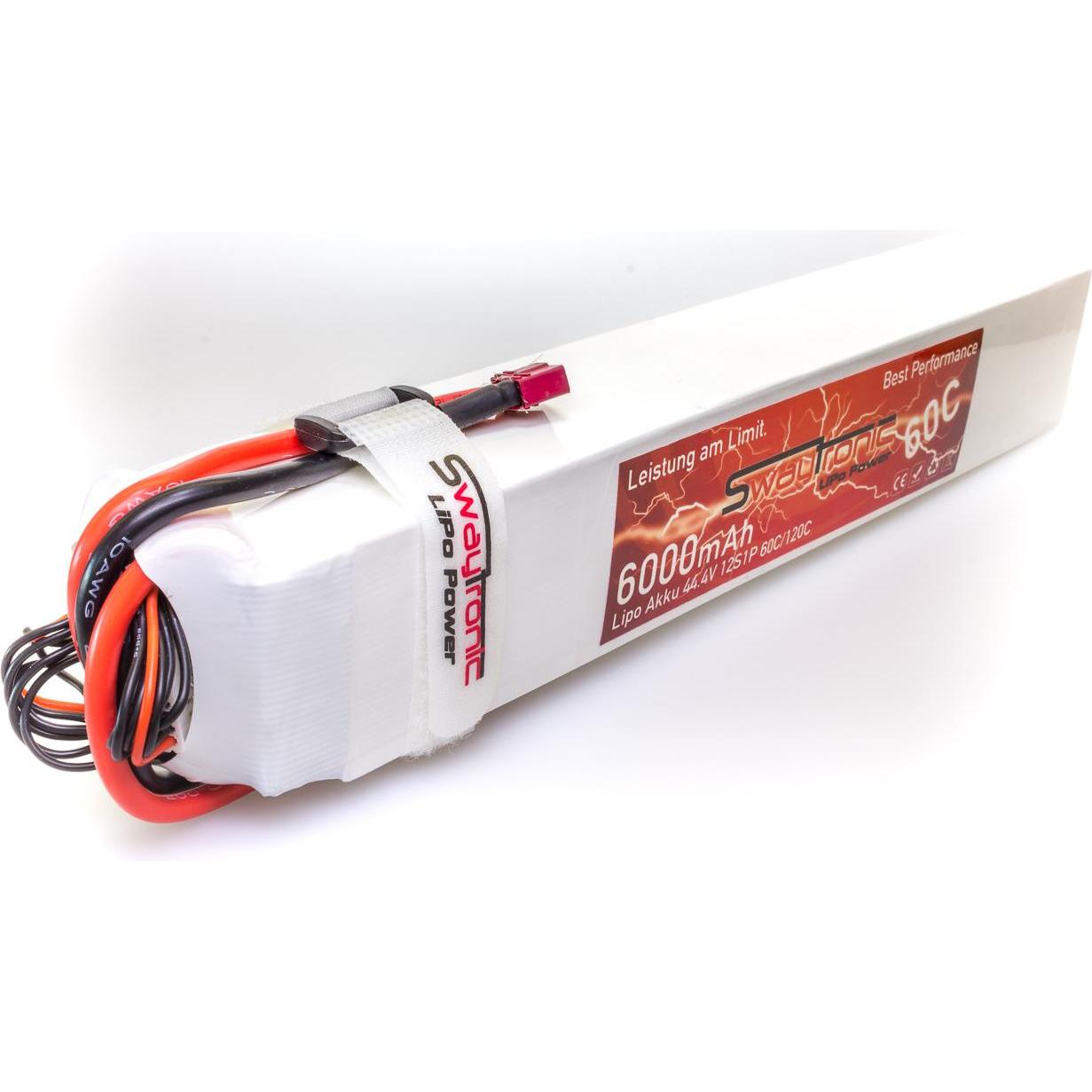 Swaytronic Akku (44.40 V, 6000 mAh)