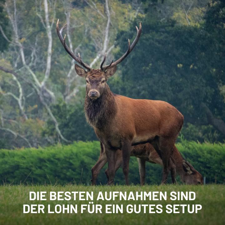 Produktbild ICUserver ICU FlexMount MONT Haltesystem