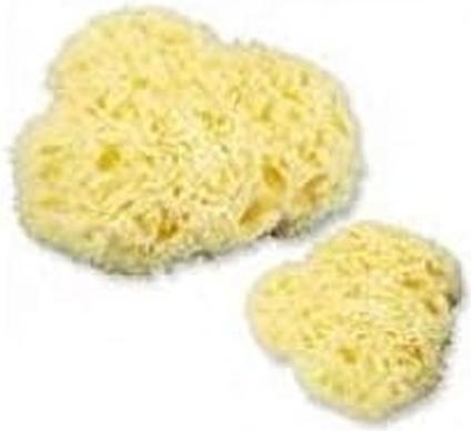 Farmac Zabban Farmac-zabban Natürlicher Meeresschwamm Medium 2er Pack