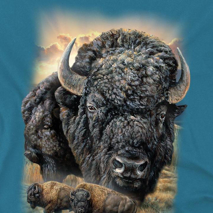 Produktbild Wild Wings Sunset TShirt (L)