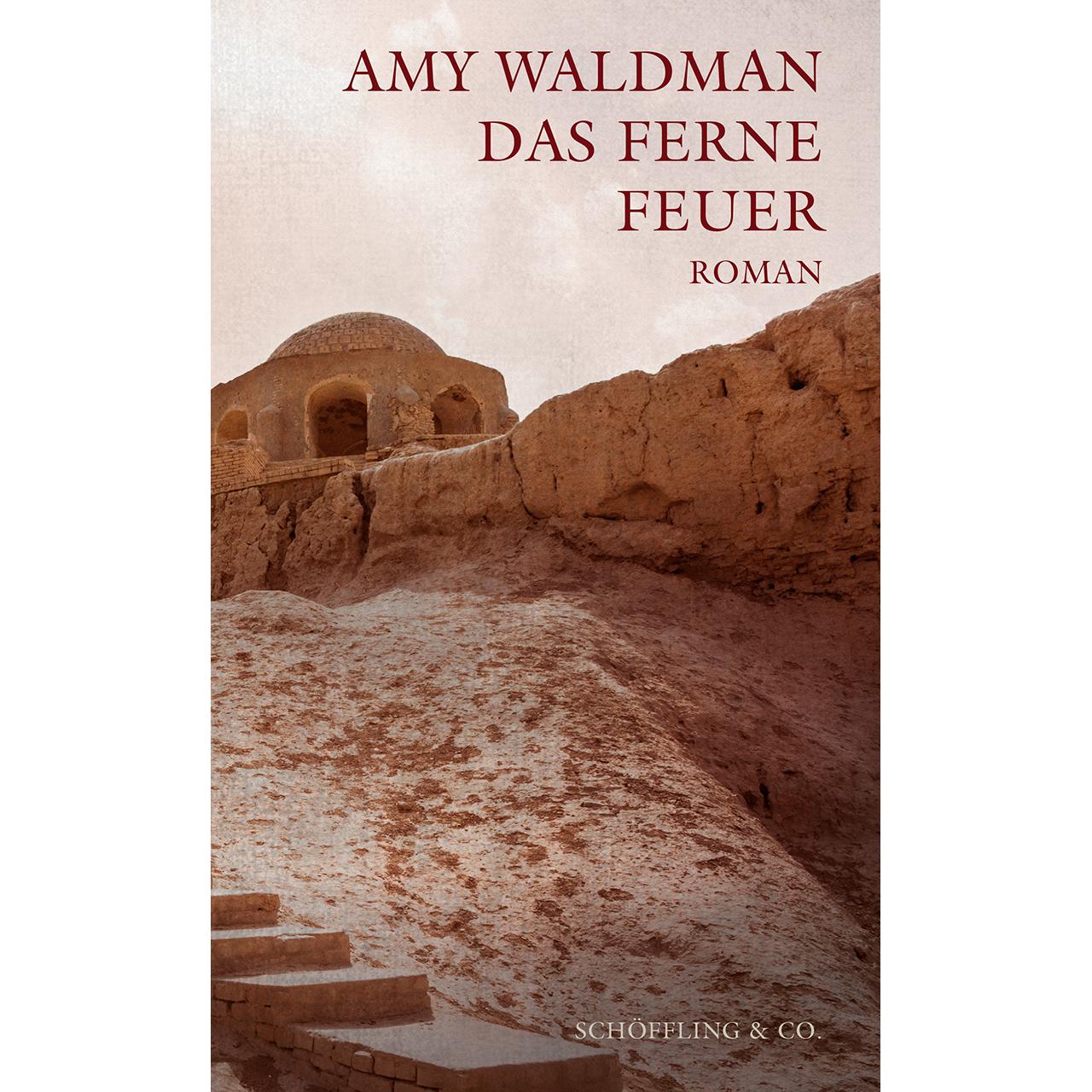 Das ferne Feuer, Belletristik von Amy Waldman