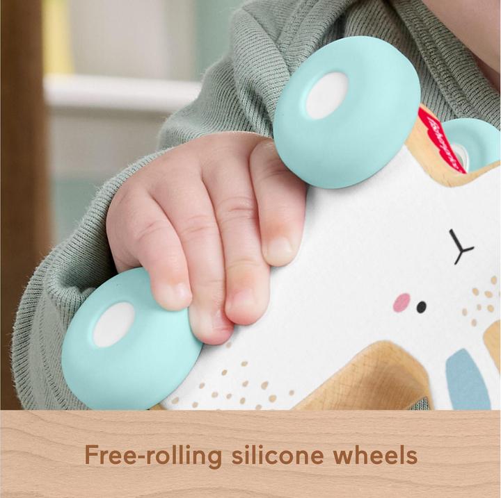 Productafbeelding Fisher-Price Houten schuifkonijntjes