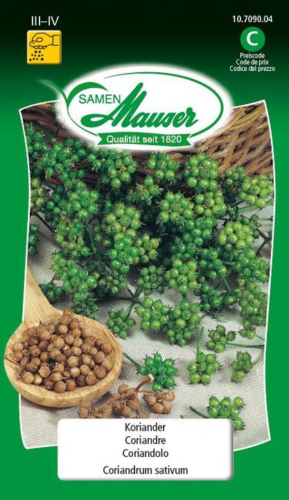 Produktbild Samen Mauser Koriander (Kräutersamen)