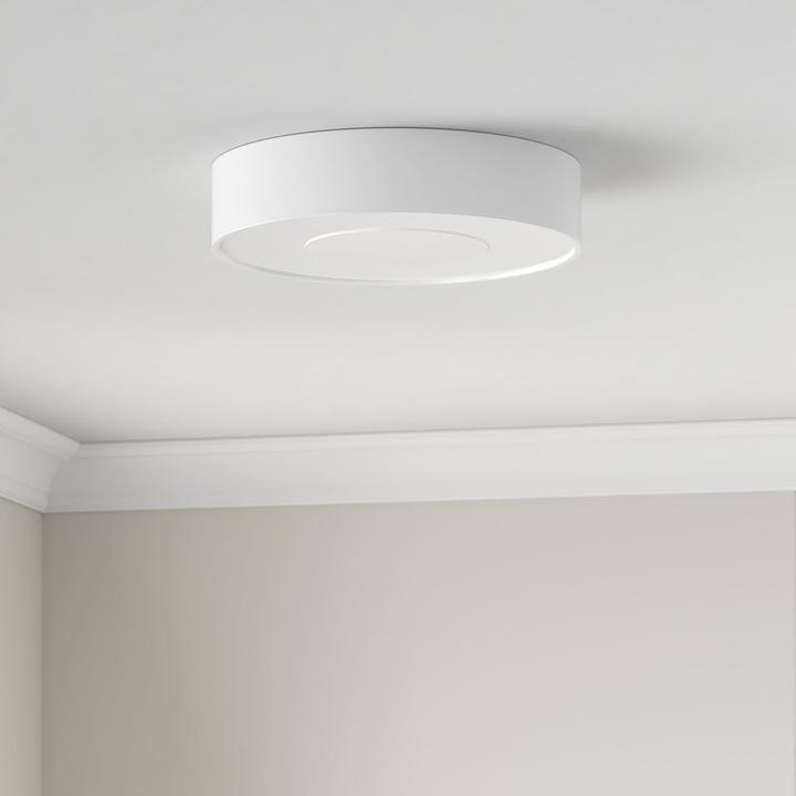 Image du produit Philips Hue White & Color Ambiance Xamento (2400 lm)