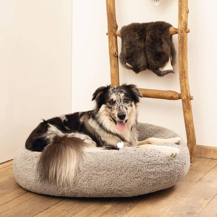 Productafbeelding Beeztees Jaxx (Hond)