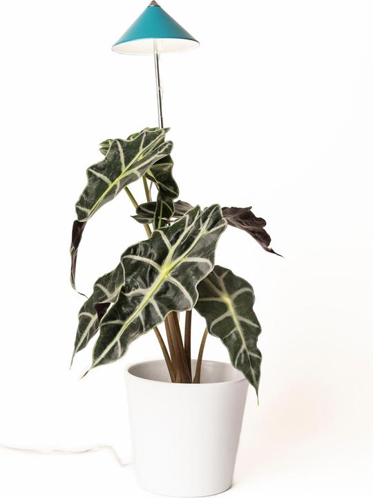 Produktbild Parus by Venso Sunlite (LED, 230 V)