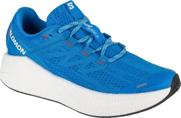 Actual product image Salomon Aero Glide Laufschuhe (42)