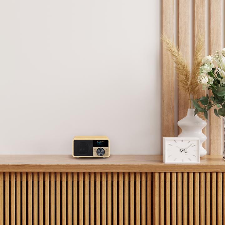 Image du produit Sangean Ddr-7 (DAB+ DAB, AM, FM, Bluetooth)