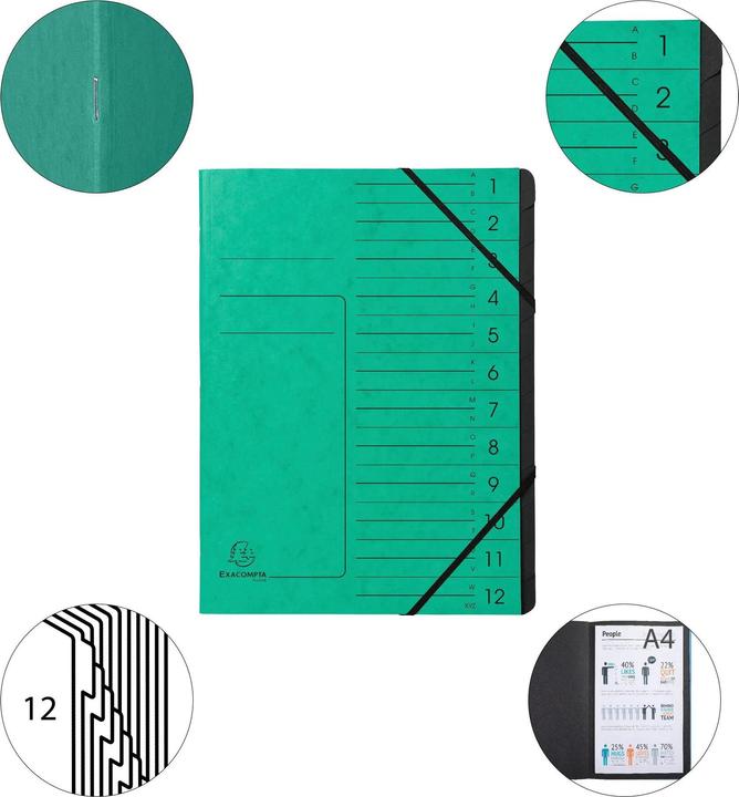 Actual product image Exacompta Stapled file folders (A4, 1 x)