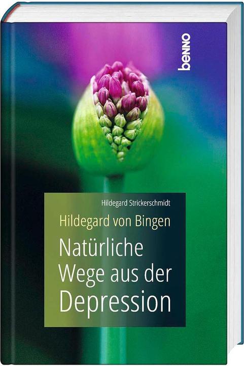 Produktbild Hildegard von Bingen - Natürliche Wege aus der Depression (Deutsch, Hildegard Strickerschmidt, 2022)