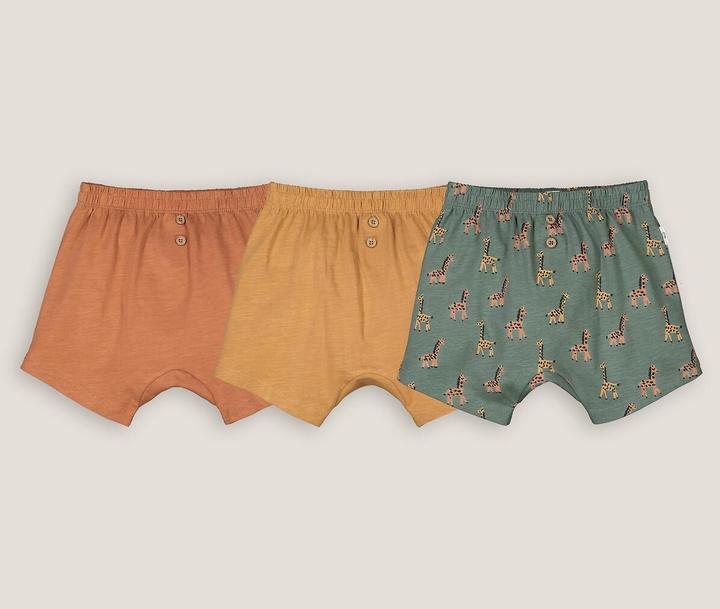 Actual product image La Redoute Collections 3-Pack Shorts (74)