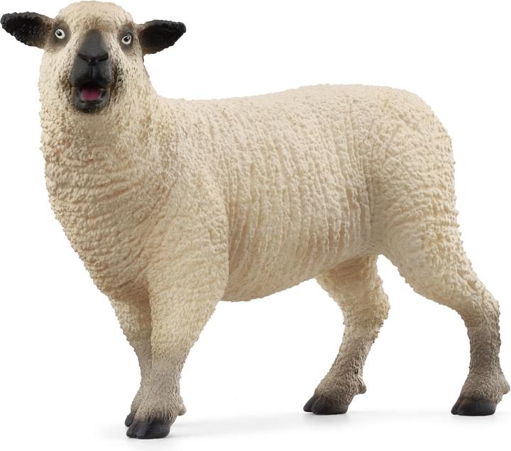Image du produit Schleich Amis des moutons