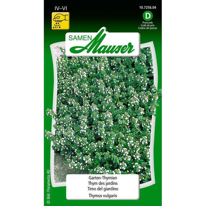 Image du produit Samen Mauser Thym des jardins (Graines d'herbes aromatiques)