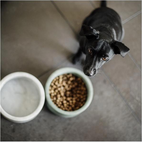Thumbnail - Kentucky Dogwear Futternapf Marble (0.80 l), Futternapf